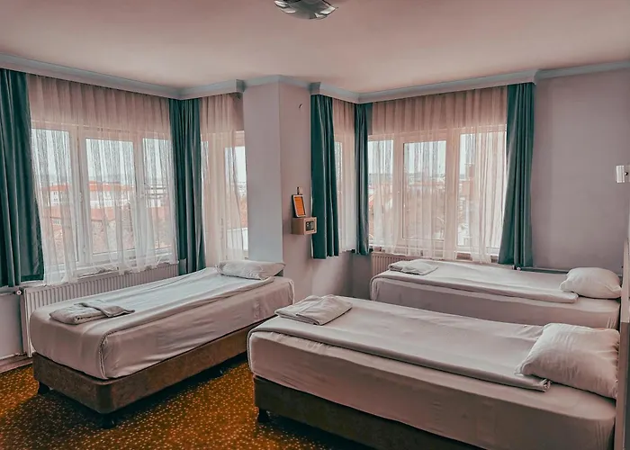 Oreko Express Hotel 2*